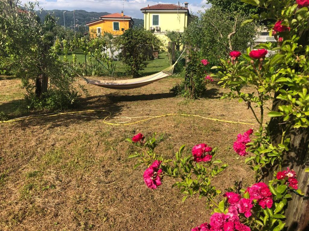 הוילה Piano di Follo La Casa Di Ulivi מראה חיצוני תמונה